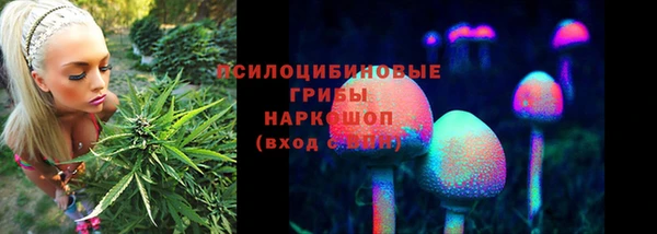 эйфоретик Арсеньев