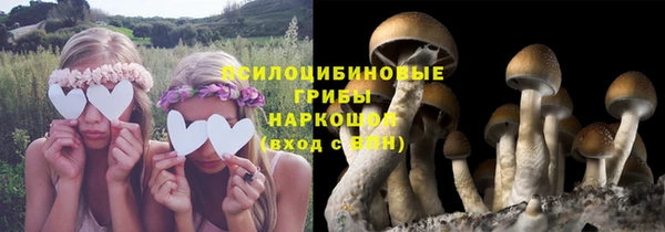 таблы Армянск