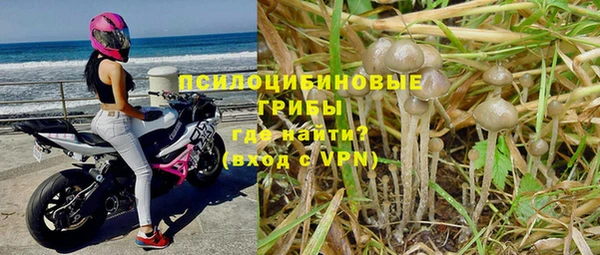 таблы Армянск