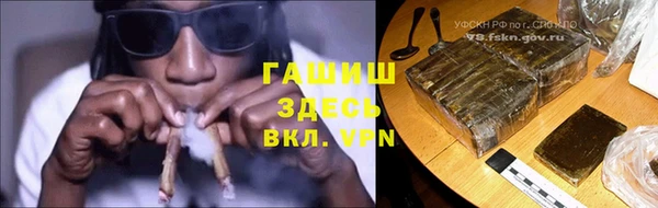 сатива Аркадак
