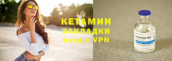 твердый Пересвет