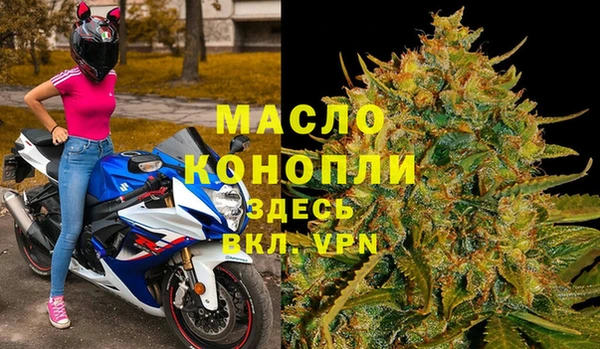 сатива Аркадак