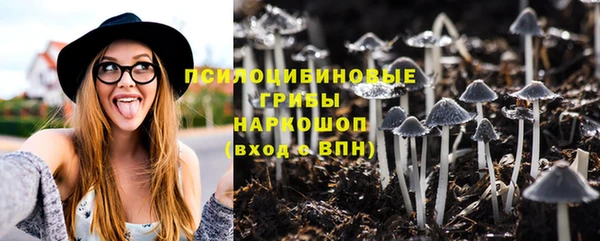 стаф Баксан
