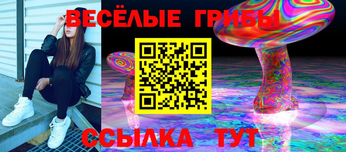 Псилоцибиновые грибы мицелий  Галлюциногенные грибы ЛСД  Долгопрудный  Вход с VPN 