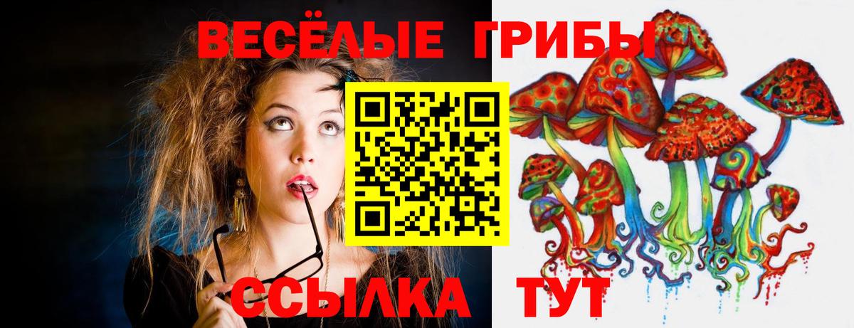 Псилоцибиновые грибы ЛСД Долгопрудный